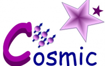 COSMIC – Compressed Sensing for Magnetic resonance Imaging and Cosmology