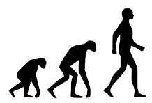 Science ouverte, éthique et imagerie cérébrale de primates.