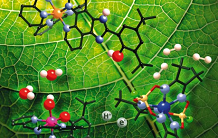 Artificial photosynthesis: the second electron finally accessible