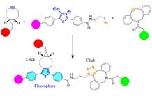 Fabriquer des bioconjugués fluorescents par chimie click