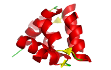 How a “self” protein can be immunogenic? The example of relaxin, a human hormone