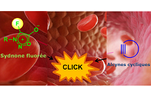 See a tumor in PET imaging by « click-chemistry » in vivo