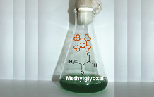 La détoxication du méthylglyoxal revisitée chez les cyanobactéries