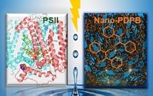 Artificial photosynthesis, a first: a nano-polymer capable of mimicking photosystem II