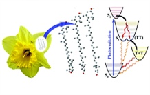 Quantum physics in flowers: role of carotenoids