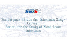Réunion annuelle de la Société pour l'Etude des Interfaces Sang-Cerveau