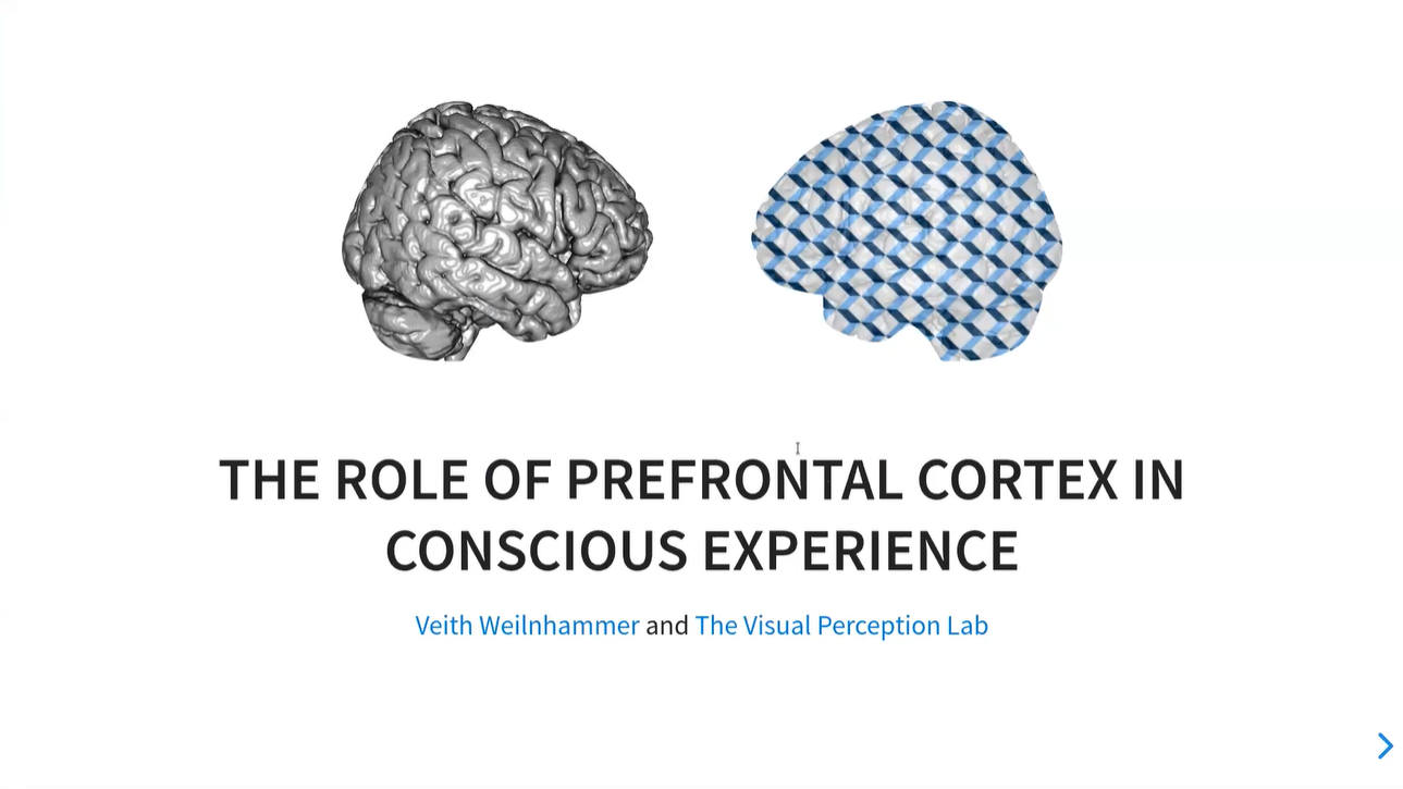 Using visual illusions to understand the role of prefrontal cortex in conscious experience