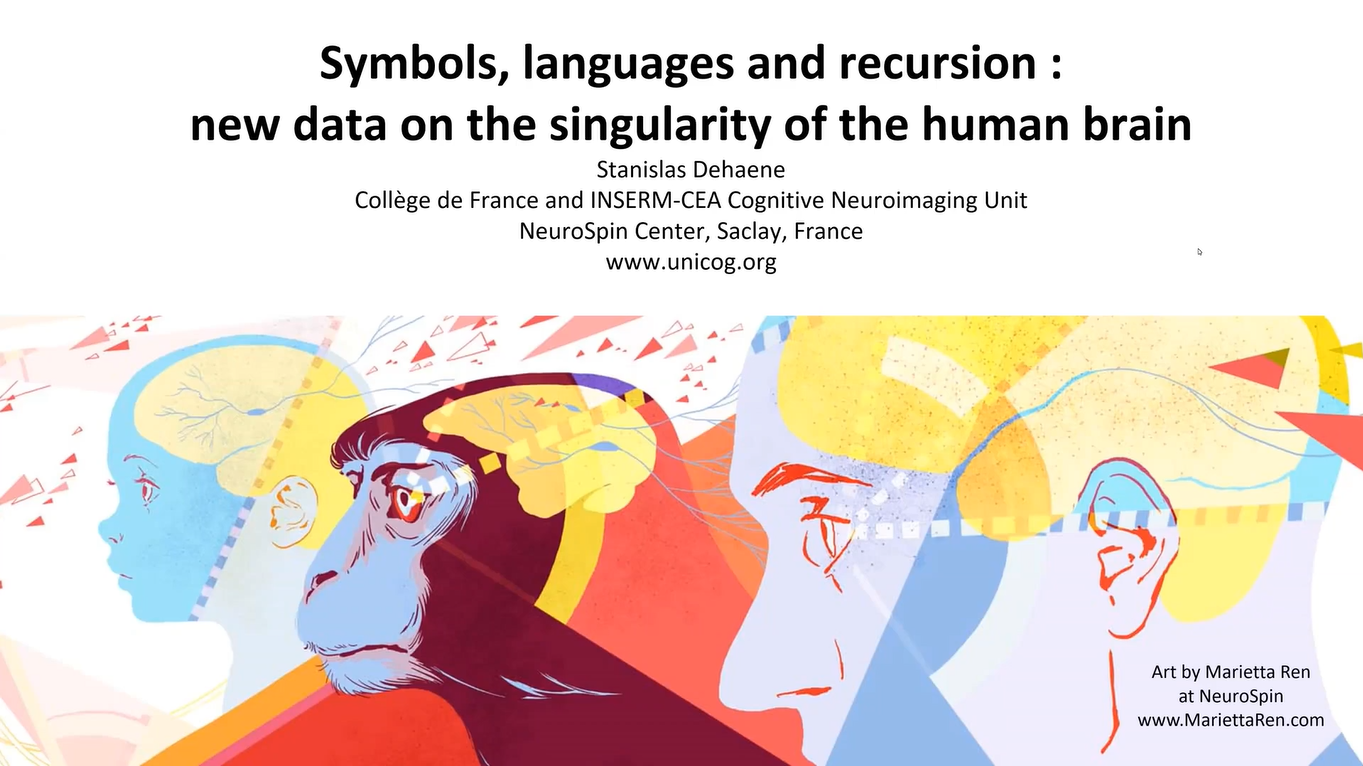 Symbols, languages and recursion : new data on the singularity of the human brain