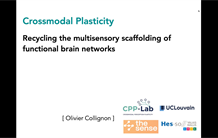 Crossmodal plasticity: Recycling the multisensory scaffolding of functional brain networks.