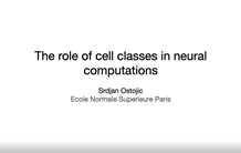 The role of sub-population structure in neural computations
