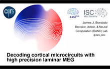 Decoding Cortical Microcircuits with High-Resolution Laminar MEG
