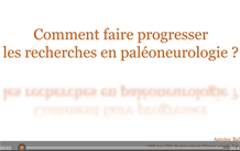 Comment faire progresser les recherches en paléoneurologie 