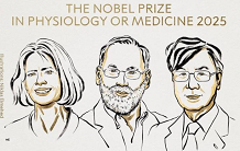 La tolérance immunitaire périphérique, Nobel de médecine 2025, décryptée par Bernard Maillère (DMTS)