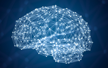 Une ERC Starting Grant pour Joao Barbosa (NeuroSpin)