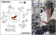 Focus sur la plateforme de marquage isotopique du SCBM : rétrospective