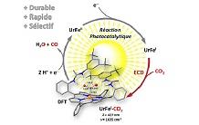 Photoreduction of CO2 by iron porphyrins