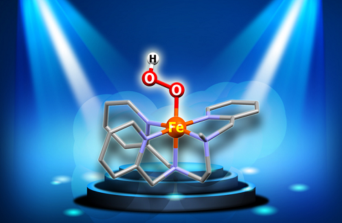 Photo-activation de l’O2 pour la catalyse bio-inspirée des hydrocarbures