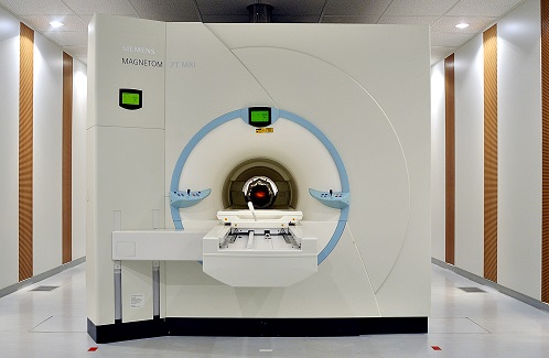 Développements méthodologiques innovants pour l’émergence de l’IRM à ultra-haut champ