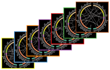 Quand les modèles mathématiques donnent un coup de pouce à l’IRM fonctionnelle pour mieux définir et prédire les états de conscience