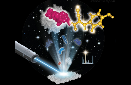 Innovative chemical probes for profiling of active metalloproteases