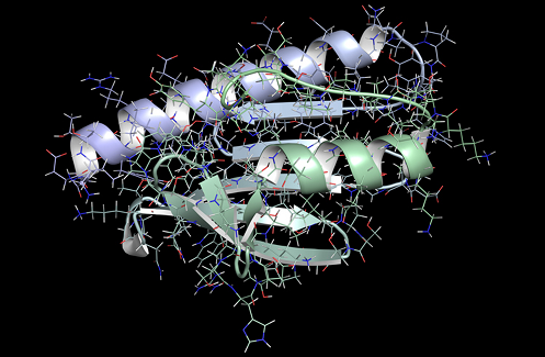La régulation de la biosynthèse des centres Fe-S enfin élucidée !