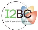 Logo_I2BC.png