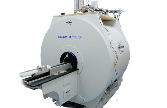 IRM préclinique 11.7T