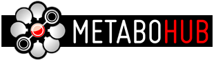 logo-metalohub.png