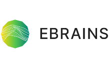 EBRAINS rejoint le club très "sélect" des infrastructures européennes