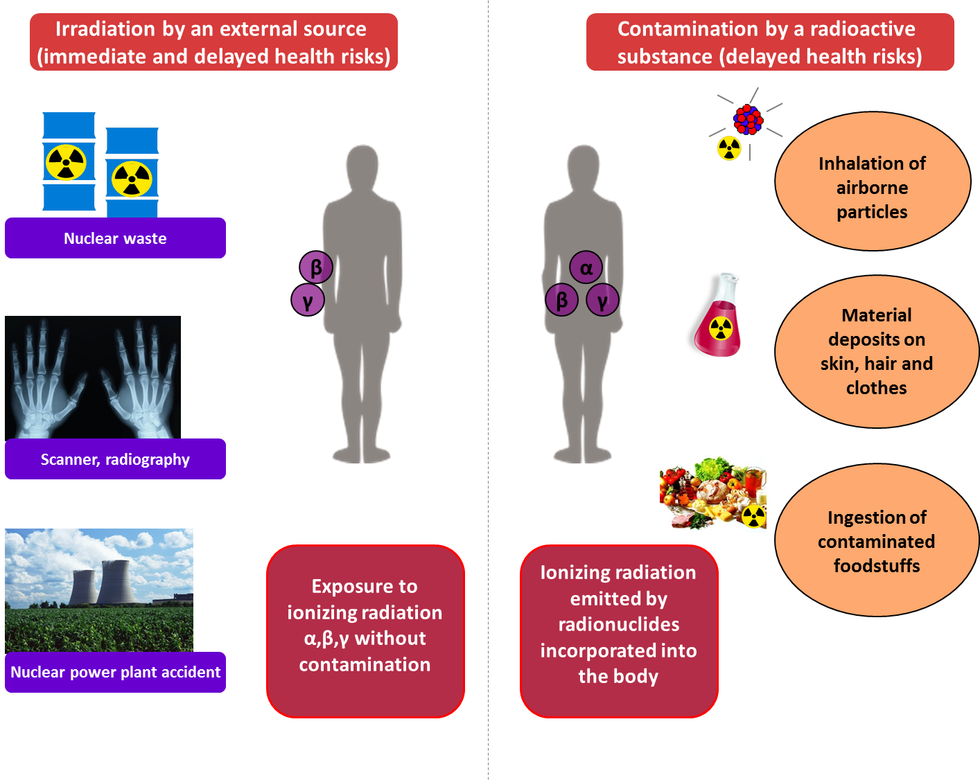 External irradiation and internal contamination 