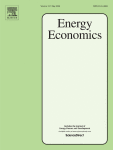 PUBLICATION - Battery and hydrogen storage: Complements or substitutes? A German case study