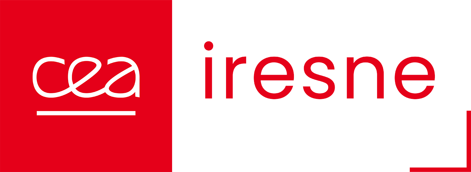 Logo CEA IRESNE