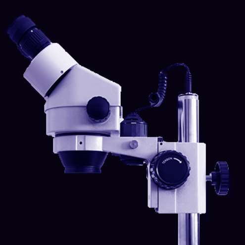 Photo of a microscope or more precisely a binocular. It’s used for inspecting insects.