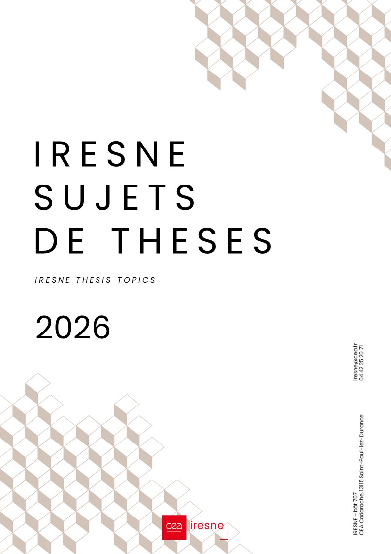 ​IRESNE livret de thèses 2024