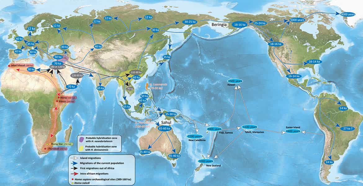 Map - Homo sapiens migrations and the modern population