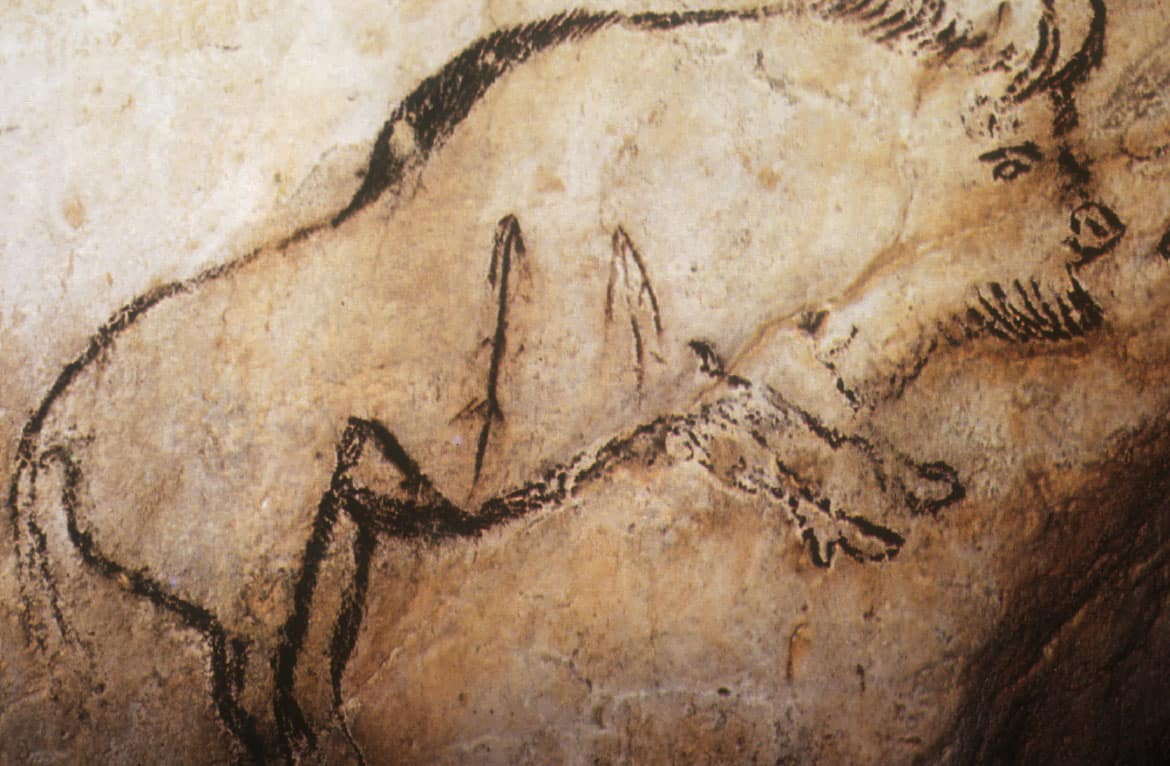 niaux-bison