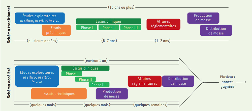 Le développement de vaccins traditionnels prend une quinzaine d’années, entre les phases de découverte précoces et la production de masse.