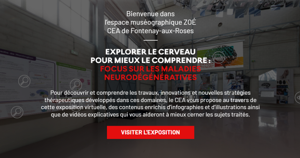 Explorer le cerveau pour mieux le soigner : focus sur les maladies neurodégénératives
