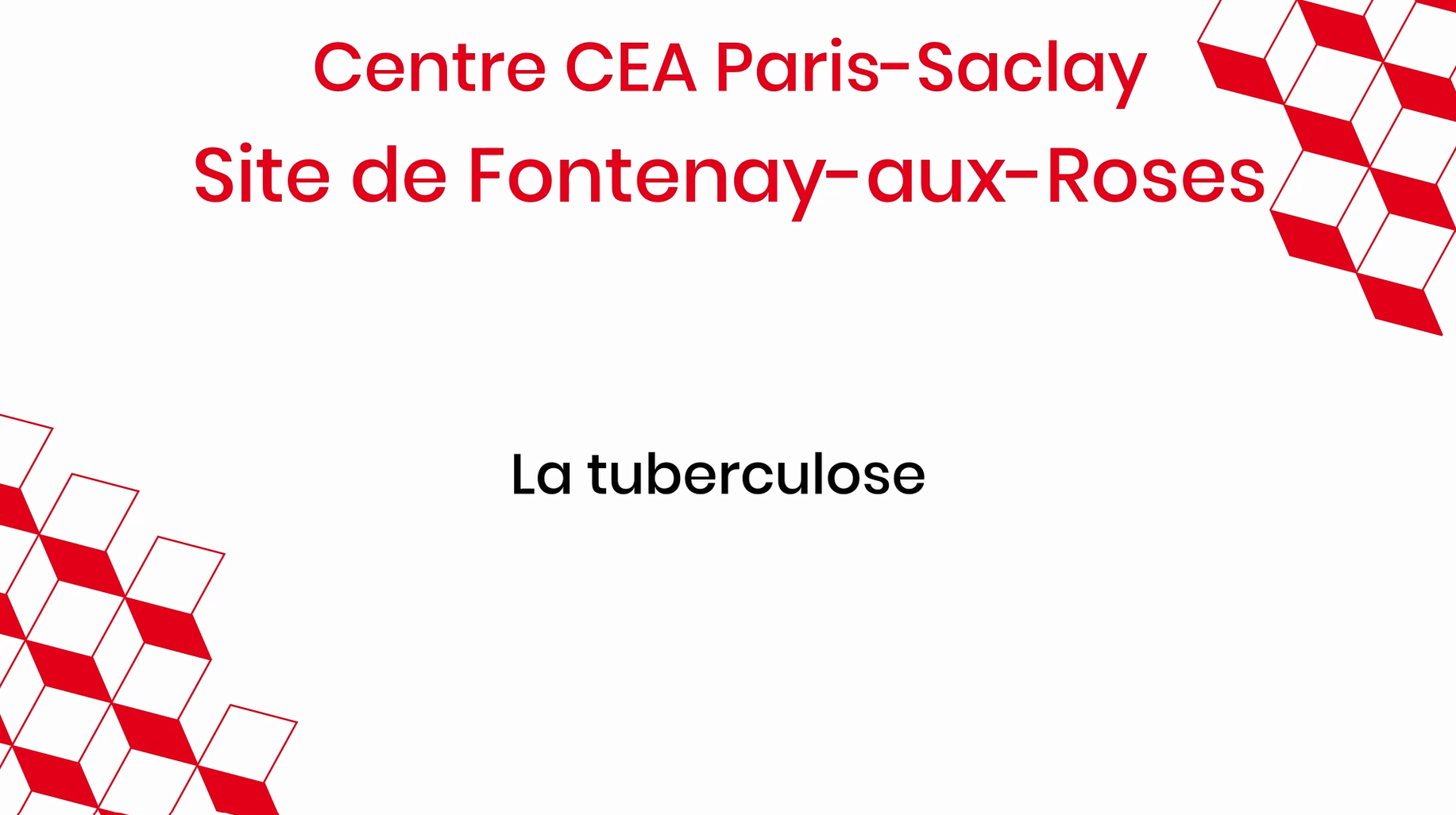 La tuberculose