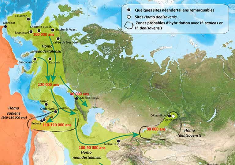 L’expansion de Homo Neandertalensis