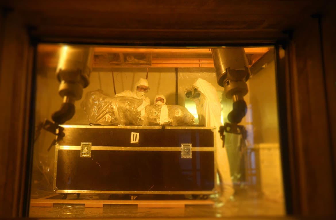 Khroma bébé mammouth 2