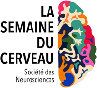 Conférences Semaines du cerveau à Neurospin