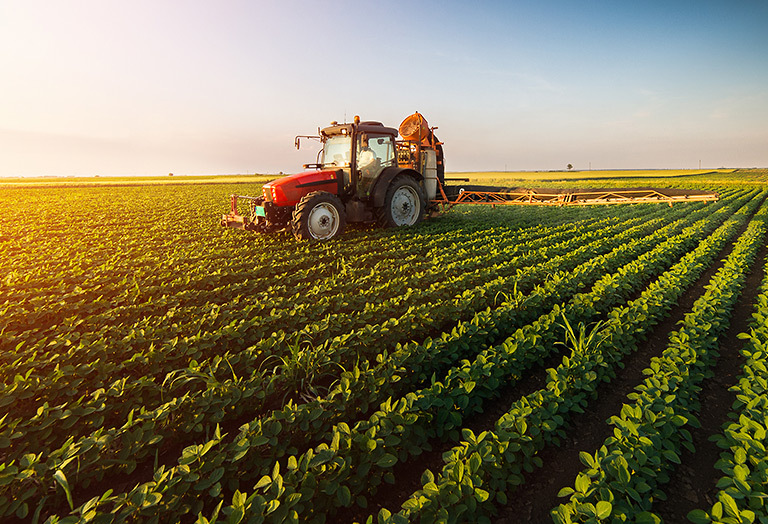 Tracteur pulvérisant un champ de soja au printemps