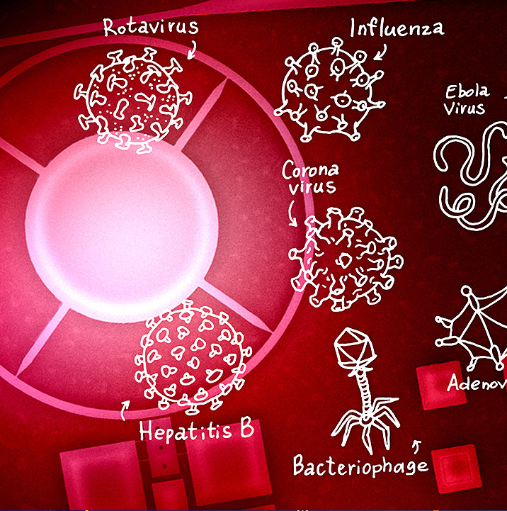 Detecting viruses using mass spectrometry