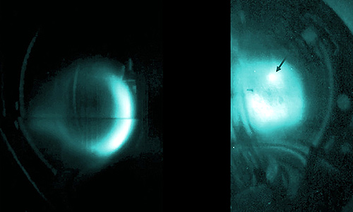 Le fonctionnement d’une photo-enzyme clé décrypté