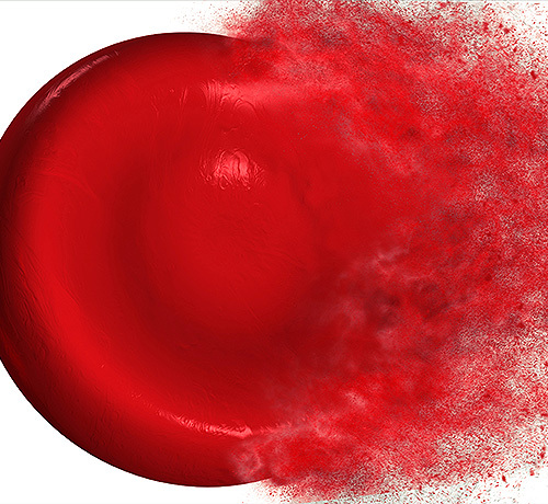 Bêta-thalassémie : une nouvelle stratégie thérapeutique