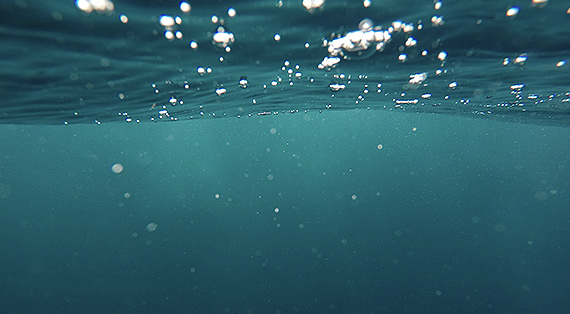 Quand la génomique du plancton éclaire le climat