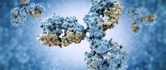 Biomédicaments moins immunogènes