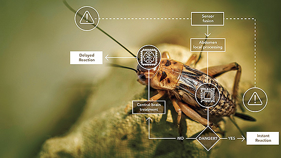 Mémoires non volatiles