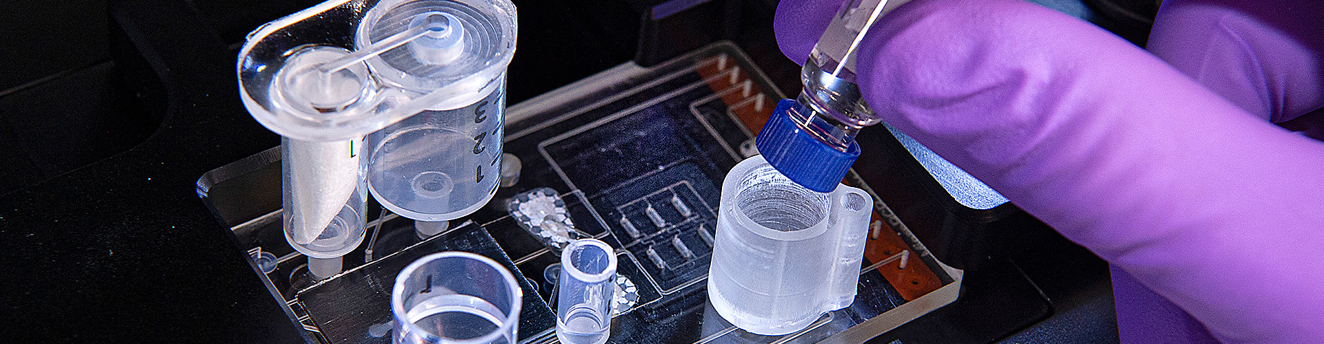 Améliorer la santé et penser la médecine de demain